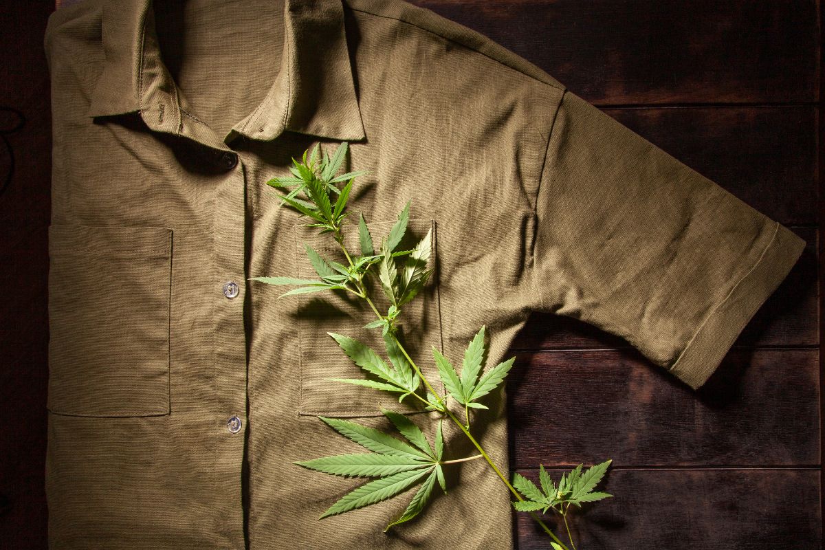 A retail fir t shirt made from hemp kept under hemp plant
