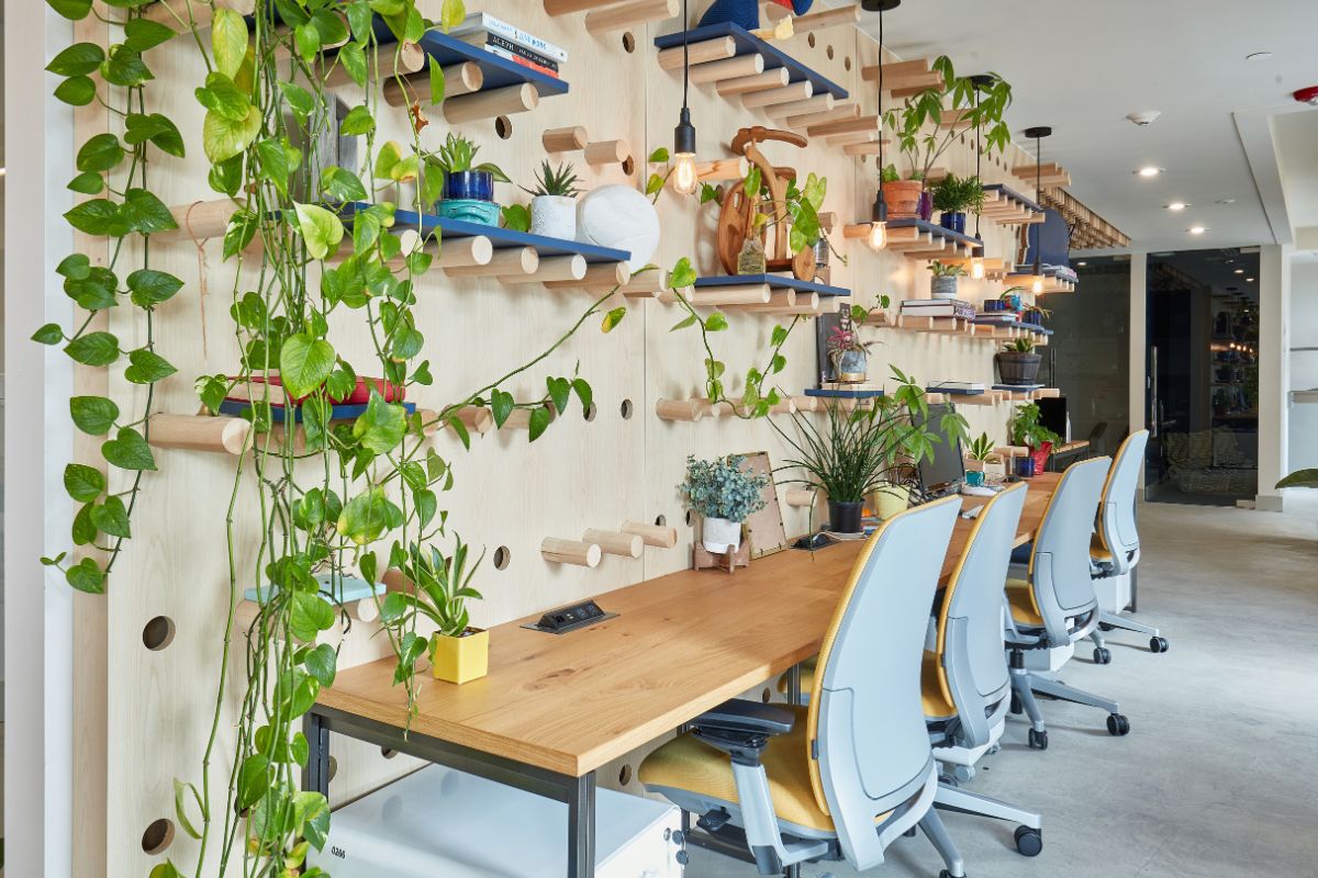 A beautiful plant greenery setup at thee office space