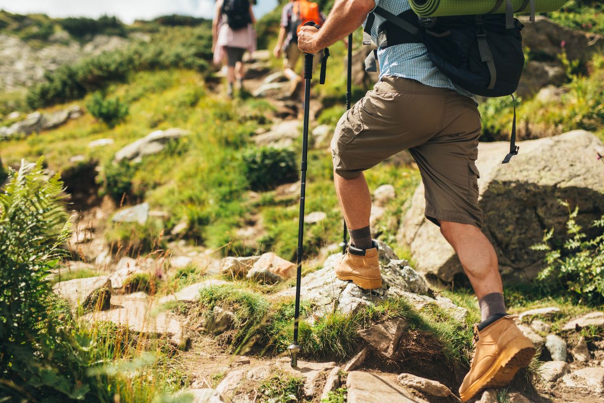 An office group hiking together after gifts they received for the outdoor activity.